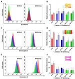 Connexin 43 Antibody in Flow Cytometry (Flow)