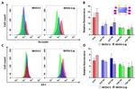 ZO-1 Antibody in Flow Cytometry (Flow)