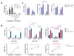 Perforin Antibody in Flow Cytometry (Flow)