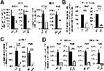 Neutrophil elastase Antibody in ELISA (ELISA)