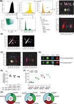 CD4 Antibody in Flow Cytometry (Flow)