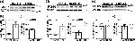 FABP7 Antibody in Western Blot (WB)