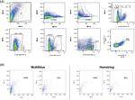 PDGFRA Antibody in Flow Cytometry (Flow)