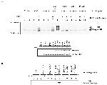 Phosphothreonine Antibody in Western Blot (WB)