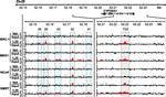 NCoR2 Antibody in ChIP Assay (ChIP)