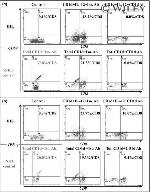 CD8a Antibody in Flow Cytometry (Flow)