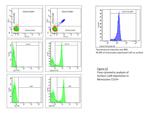 Calcium Sensing Receptor Antibody in Flow Cytometry (Flow)