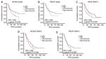 PTPMT1 Antibody in Immunohistochemistry (IHC)