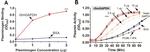 Plasminogen Antibody in ELISA (ELISA)