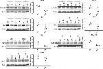 HSPA1B Antibody in Western Blot (WB)