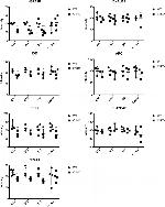 HSPA1B Antibody in Immunohistochemistry (IHC)