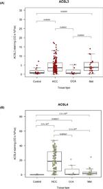 ACSL3 Antibody in Immunohistochemistry (IHC)