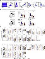 CD4 Antibody in Flow Cytometry (Flow)