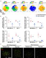 CD8 Antibody in Flow Cytometry (Flow)