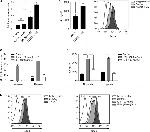 Syndecan 3 Antibody in Flow Cytometry (Flow)