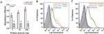 6x-His Tag Antibody in Flow Cytometry (Flow)