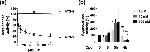 Aggrecan Antibody in Western Blot (WB)