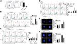 Ly-6G/Ly-6C Antibody in Flow Cytometry (Flow)