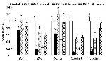 Claudin 3 Antibody in Western Blot (WB)