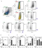 CD3e Antibody in Flow Cytometry (Flow)