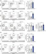 CD3e Antibody in Flow Cytometry (Flow)