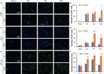 CD3 Antibody in Immunohistochemistry (IHC)