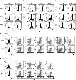 CD14 Antibody in Flow Cytometry (Flow)