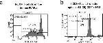 CD3 Antibody in Functional Assay (Functional)