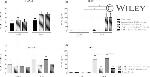 CD4 Antibody in Flow Cytometry (Flow)