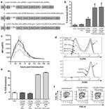 CD3 Antibody in Flow Cytometry (Flow)