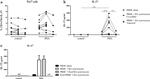 CD3 Antibody in Flow Cytometry (Flow)