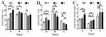 CD4 Antibody in Flow Cytometry (Flow)