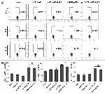 IL-4 Antibody in Flow Cytometry (Flow)