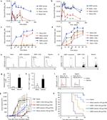 CD90.2 (Thy-1.2) Antibody in Flow Cytometry (Flow)