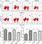 Gata-3 Antibody in Flow Cytometry (Flow)