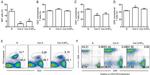 CD3e Antibody in Flow Cytometry (Flow)