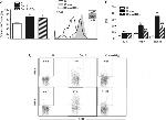 TNF alpha Antibody in Flow Cytometry (Flow)