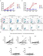 CD4 Antibody in Flow Cytometry (Flow)