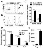 CD4 Antibody in Flow Cytometry (Flow)