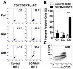 CD4 Antibody in Flow Cytometry (Flow)