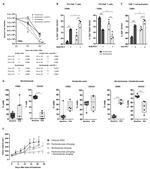 CD4 Antibody in Flow Cytometry (Flow)