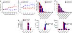 IL-17A Antibody in Flow Cytometry (Flow)