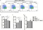 CD8a Antibody in Flow Cytometry (Flow)