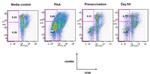 CD8a Antibody in Flow Cytometry (Flow)