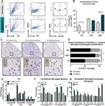 CD45 Antibody in Flow Cytometry (Flow)