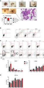 Ly-6G/Ly-6C Antibody in Flow Cytometry (Flow)