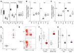 CD45R (B220) Antibody in Flow Cytometry (Flow)