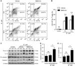 Ly-6G Antibody in Flow Cytometry (Flow)