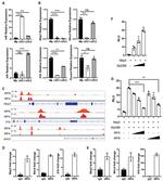 CD11c Antibody in Flow Cytometry (Flow)