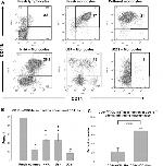 CD11b Antibody in Flow Cytometry (Flow)